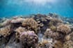 edit underwater videos and photos