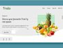 build nextjs reactjs web app using tailwind css