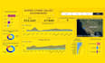 help you make data driven decisions with custom reports