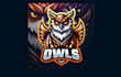 design a creative owl mascot logo with express delivery