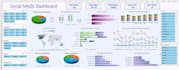 do data analyst and data visualization excel report and power bi dashboard