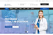build custom websites as a pro full stack web developer