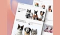 design a premium, static websites
