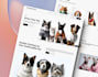 design a premium, static websites