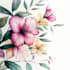 make botanical illustrations of flowers