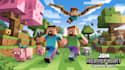 do a minecraft logo, banner with server promotion