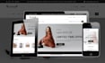 build and redesign a professional shopify dropshipping store