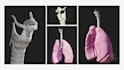 create a 3d medical model
