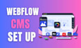 do cms setup, blog site design, webflow ecommerce design