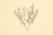 design a hand drawn feminine botanical boho logo