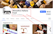 professional social media manager for your business growth