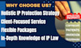 professionally draft a business or IP contract