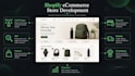 create a professional shopify online store