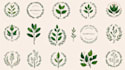 design minimalist line art botanical boho logo