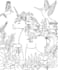 make hand drawn coloring book illustration for you