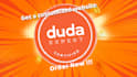 develop a responsive custom website with duda