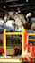 come to your equestrian event and capture your ride