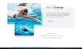 design modern swimming pool construction website, pool maintenance website