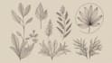 create a hand drawn, botanical, bohemian, feminine logo