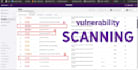 do pentesting and vulnerability assessment on web application and api