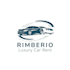 do modern sport car logo design for your brand