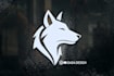 create a unique lion, tiger, wolf, bear, fox, gradient, animal logo