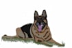 create a cartoon avatar of your picture