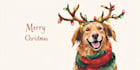 do retro, vintage postcard, poster, greeting card, christmas card