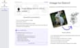 fix reactjs nextjs javascript css tailwindcss bootstrap bug