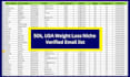 do niche targeted verified email list, b2b, bulk email list for email marketing