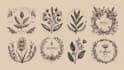 create beautiful hand drawn botanical boho logo