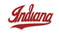 do embroidery digitizing convert to dst, jef, pes, exp in 1 hour