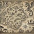 create a medieval or fantasy map art for you