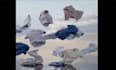 create 3d cloth animation 3d cgi animation vfx animation vfx ads cgi ads