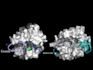 do anything in pymol software high quality images, videos, etc