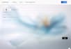 develop or update SEO friendly, responsive webflow websites, webflow developer