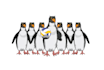 provide an modern penguin silhouettes logo design