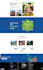 launch, refine, SEO optimize your wordpress website