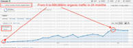 video call SEO consultation, web audit, strategic steps, faqs