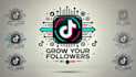 boost your tiktok followers