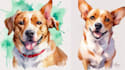 draw watercolor pet portrait