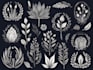 create hand drawn botanical boho logo designs