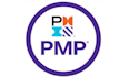 provide expert project management and pmo consulting to scale your business