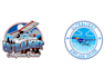 design awesome airplane logo