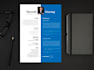 write your executive resume writing and CV designing