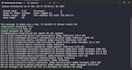 fix cpanel, whm, php, smtp, ssl, firewall, email, dns, mx, mysql, ssh, issues