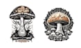 design hand drawn skull mushroom logo