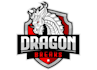 design luxury dragon logo