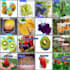 do computer vision, image processing, finetune large models