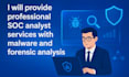 provide professional soc analyst services with malware and forensic analysis
